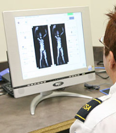 Body Screening System